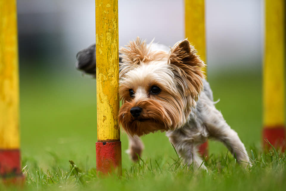 118958875 10221456221467726 8910305559501181454 n