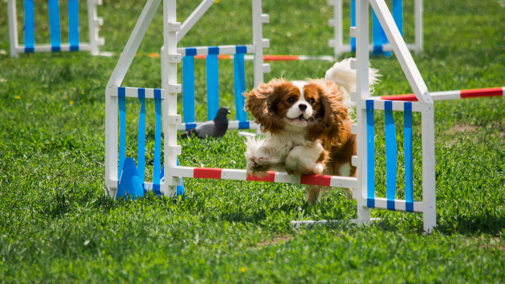 197418919 3980829892032533 4059551505062772392 n