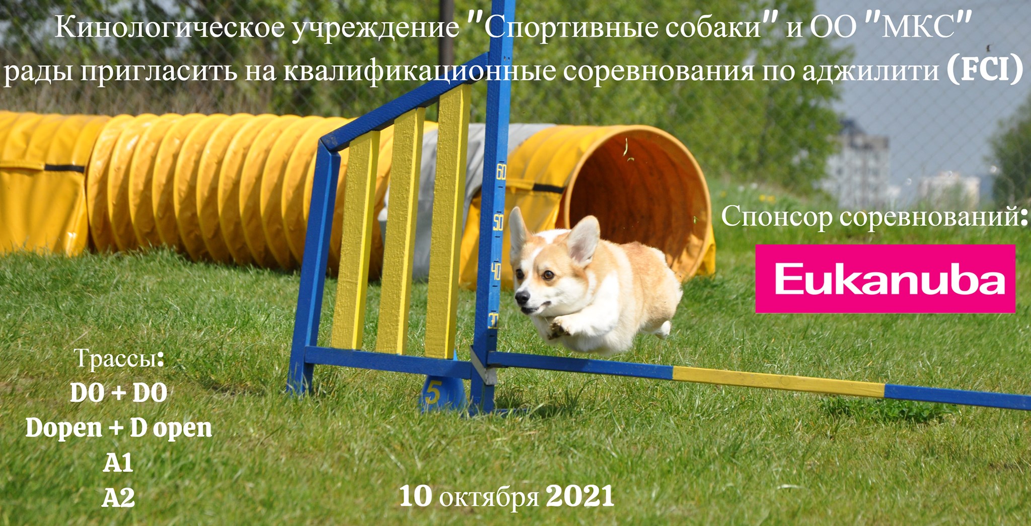 244384965 4365245006877900 2004811417274054136 n