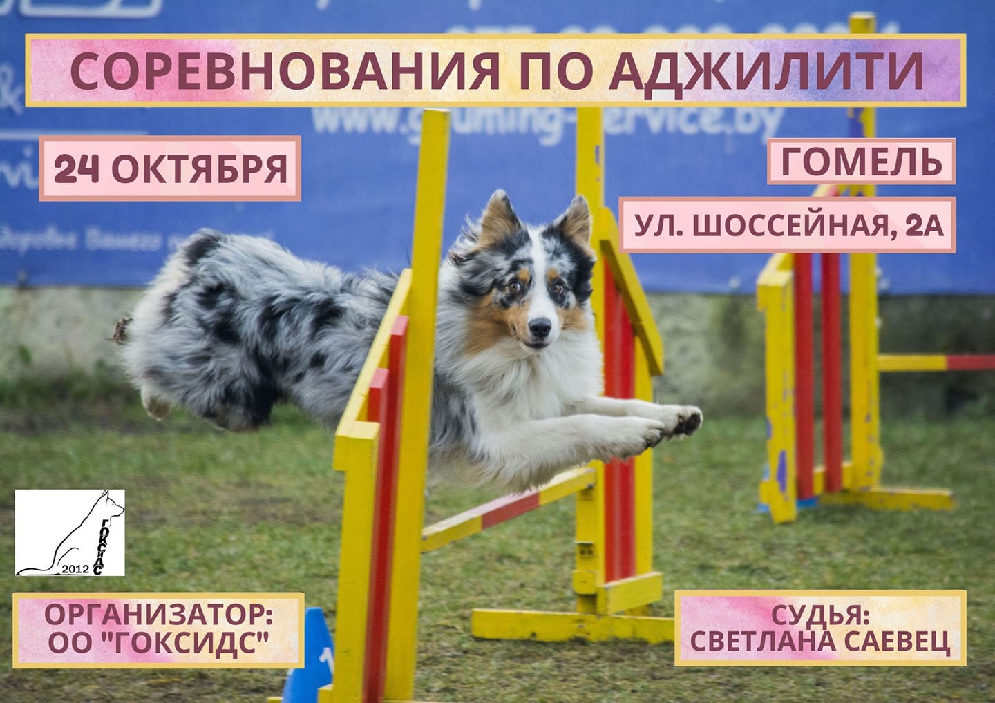 245655638 3911643098939167 1563410873721862300 n