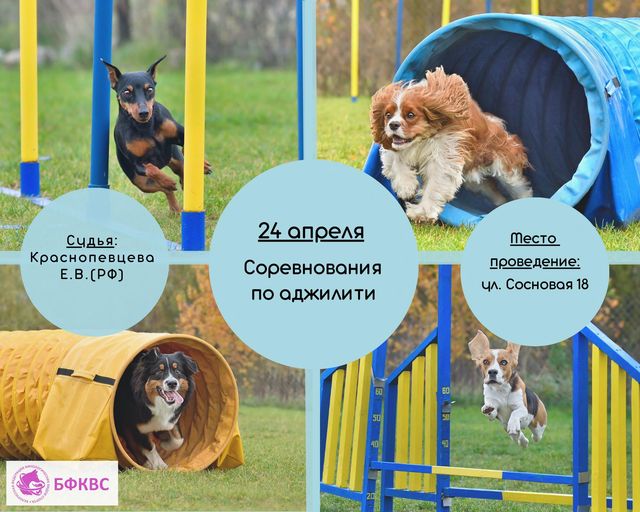 277568438 1183802175755718 464406743852662601 n