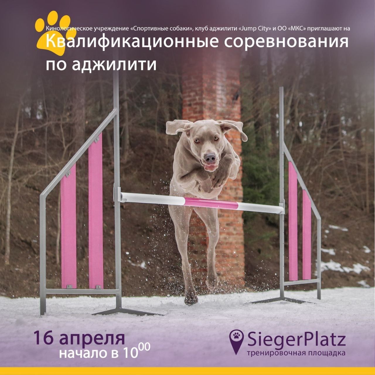 278060617 4966875373381524 6382709339014308787 n 2