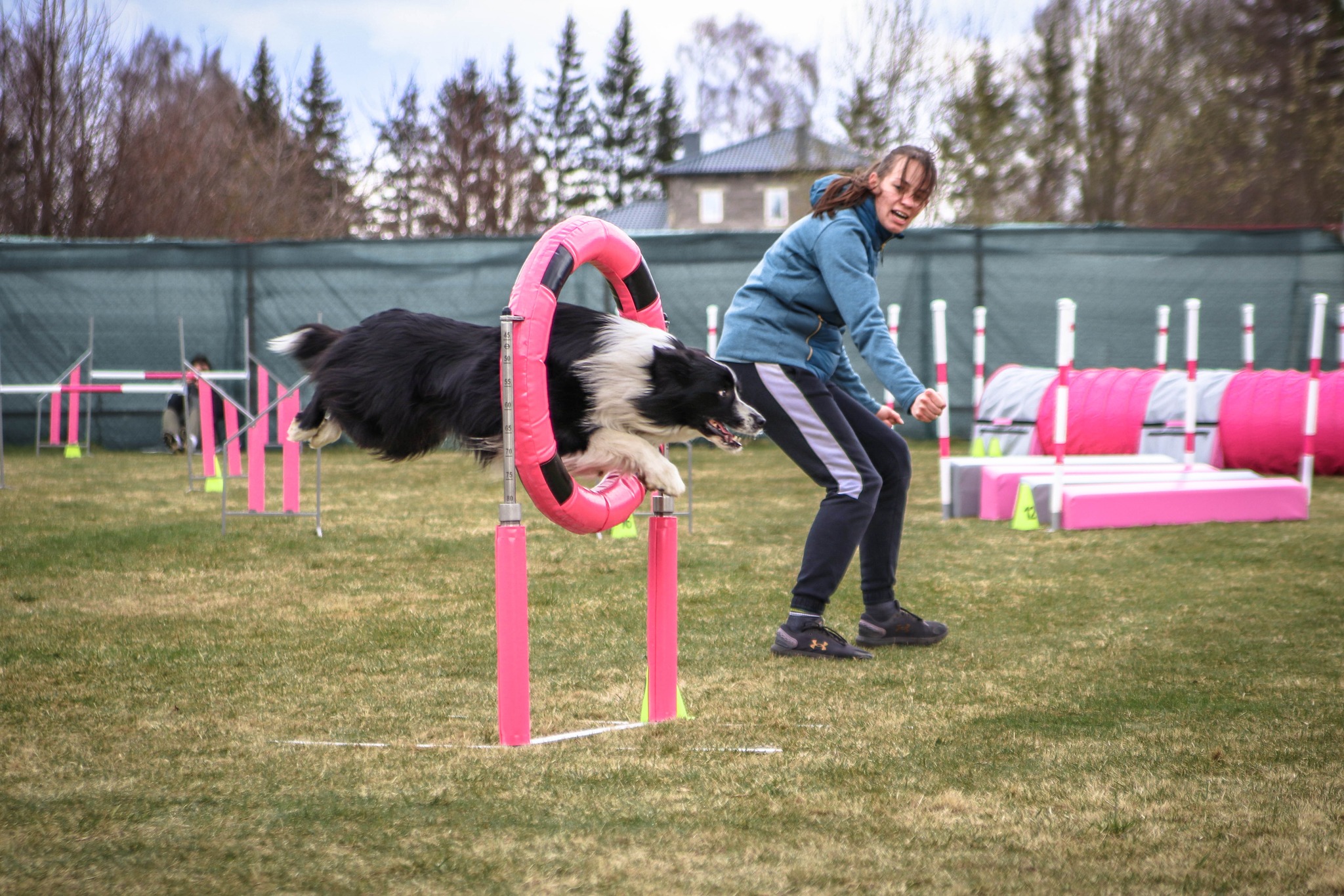 278862331 163393199576765 340585407400740752 n