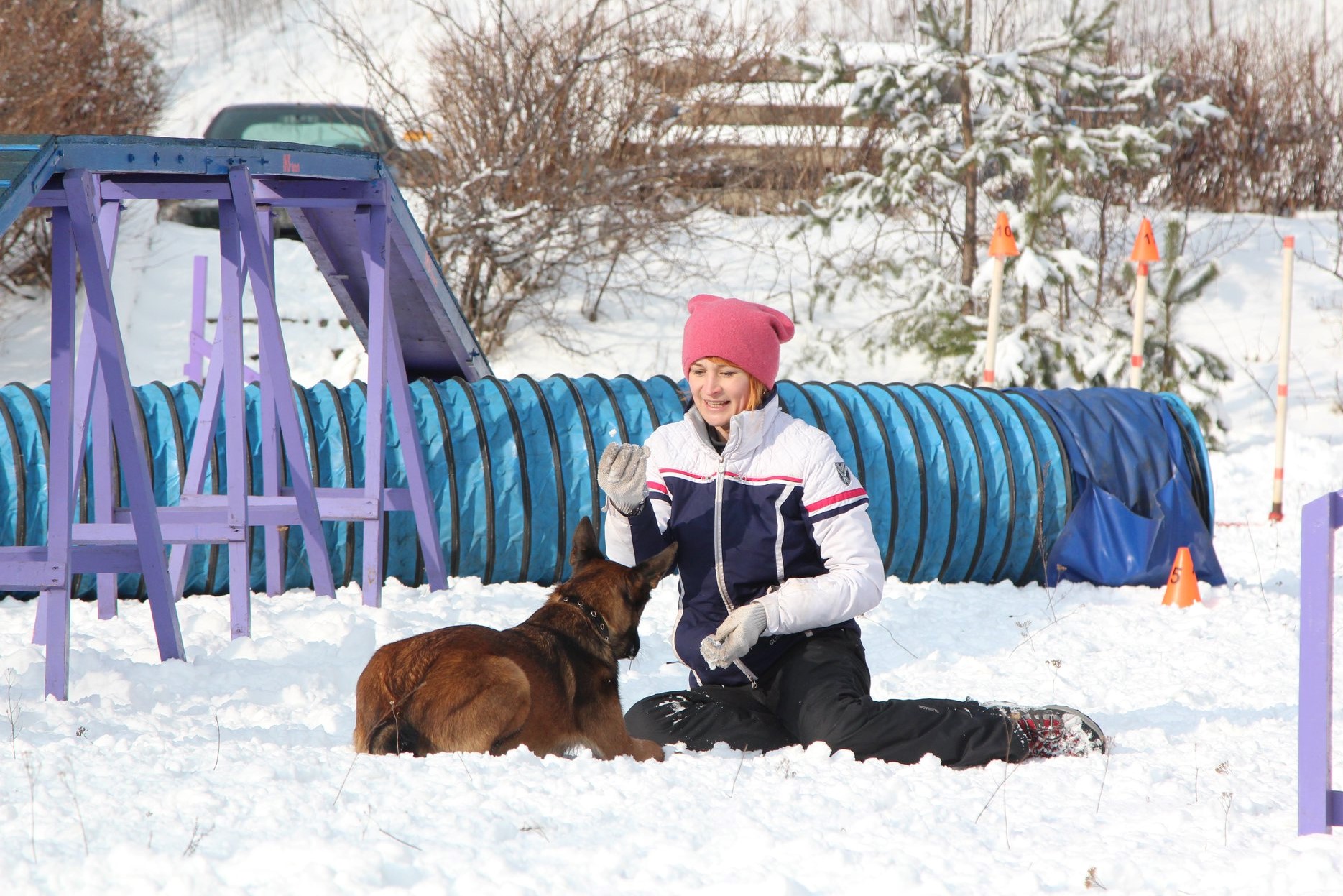 29366461 186275981987272 3172183362160820224 o