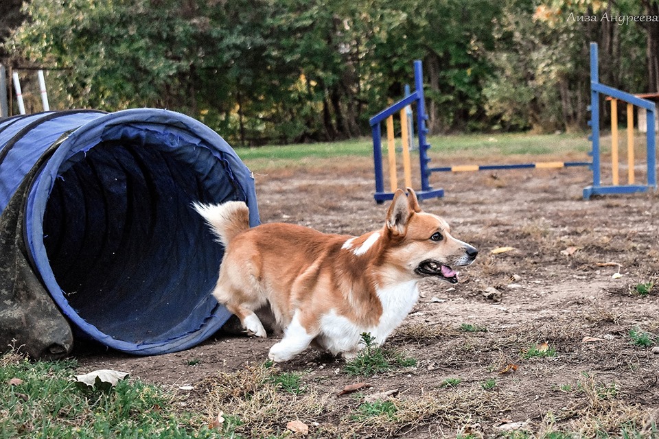 59774494 2247523121990527 3618484310220210176 n