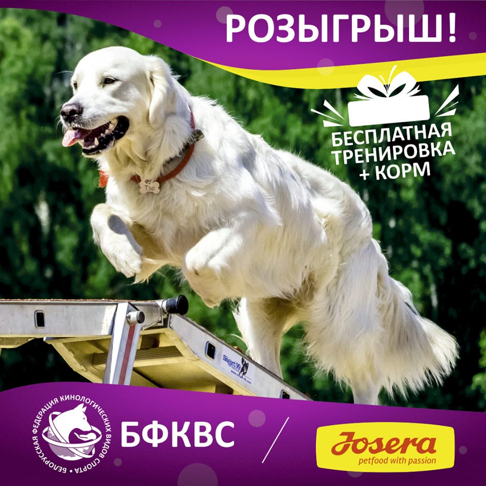 73495123 558621904940418 4562248672812728320 n