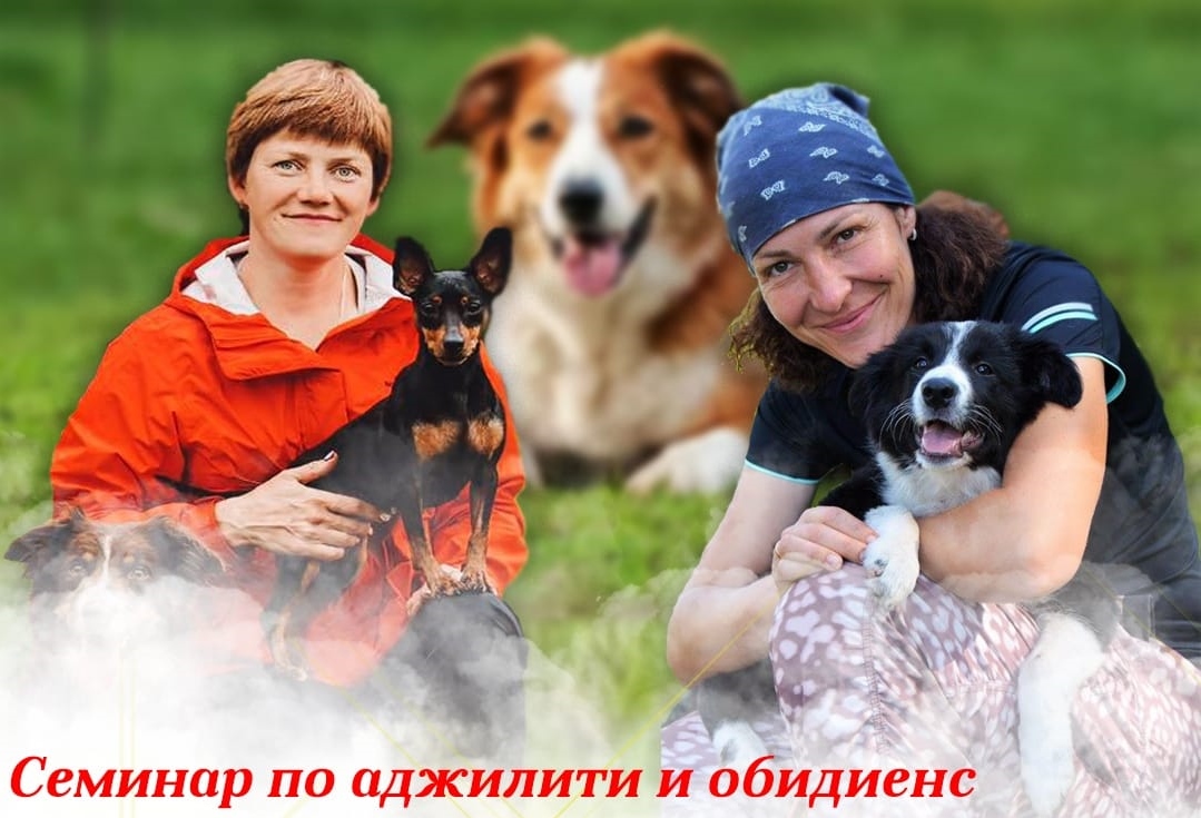 74786699 2671099566279986 2514423324235268096 n