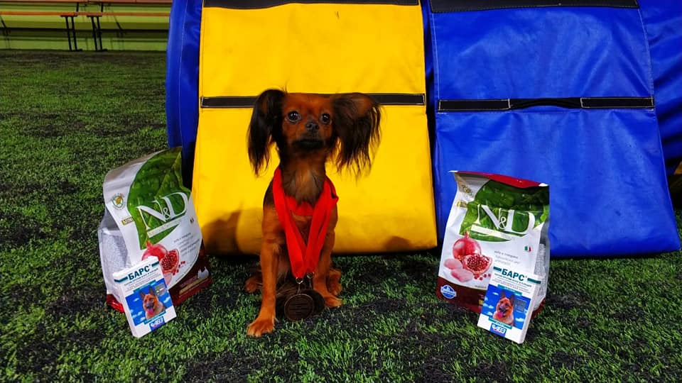 76660674 578408296295112 6771583066805633024 n