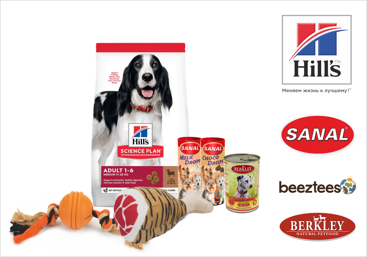 Vettorgpartner Sanal Berkley Beeztees Hills