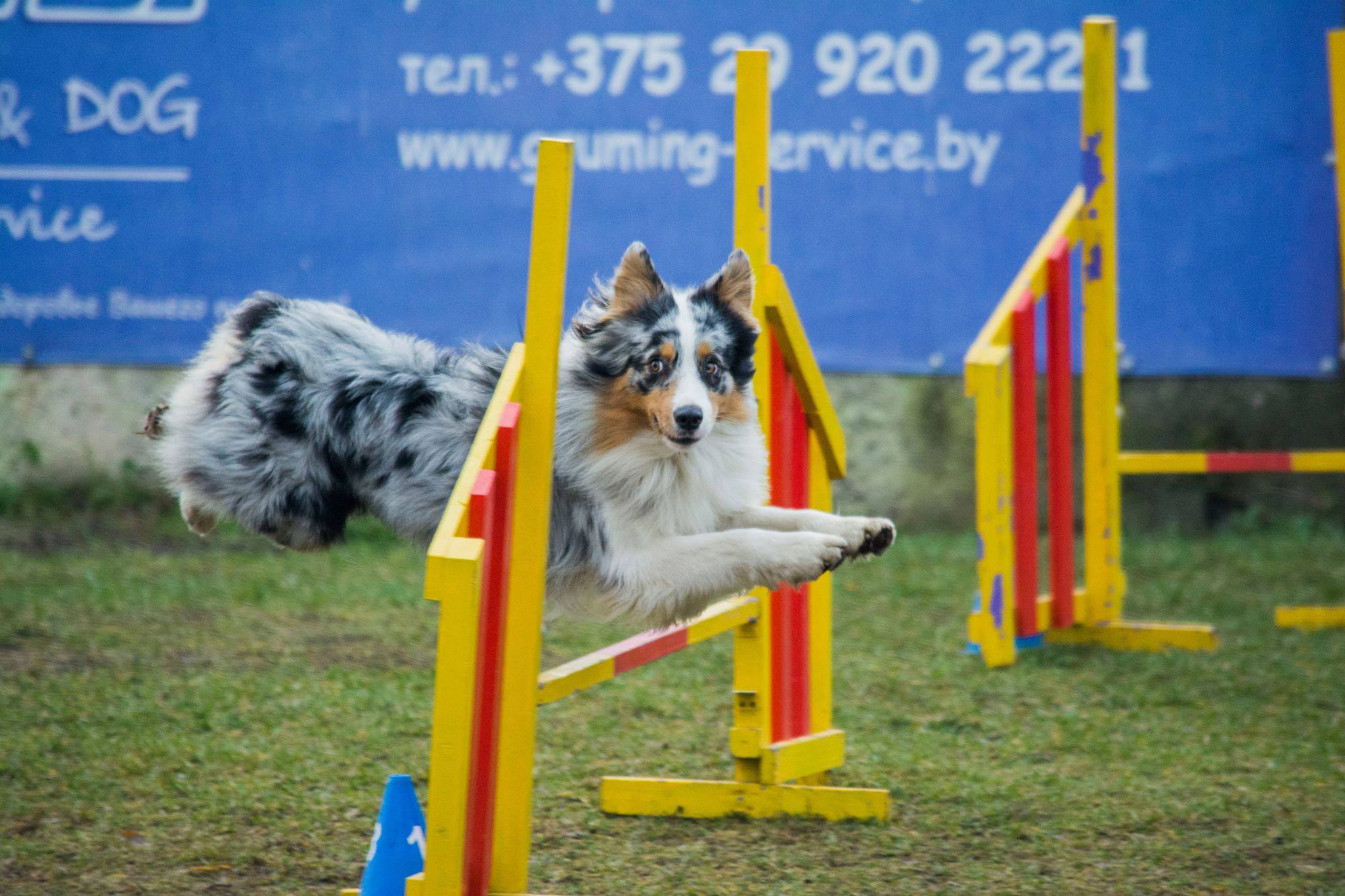 130276914 3484994091616118 464980802293946132 o