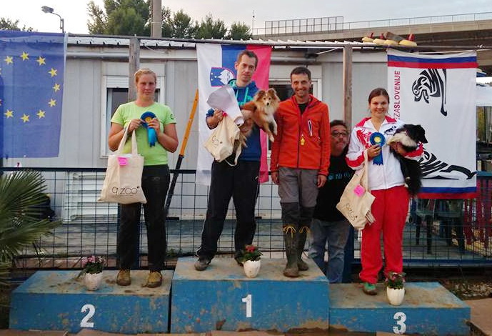 14725522 1199397516793549 440378595622326290 n