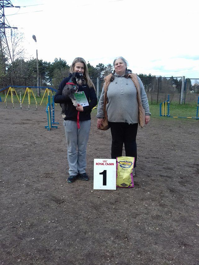 17992322 1330657367010445 5747109537254570490 n