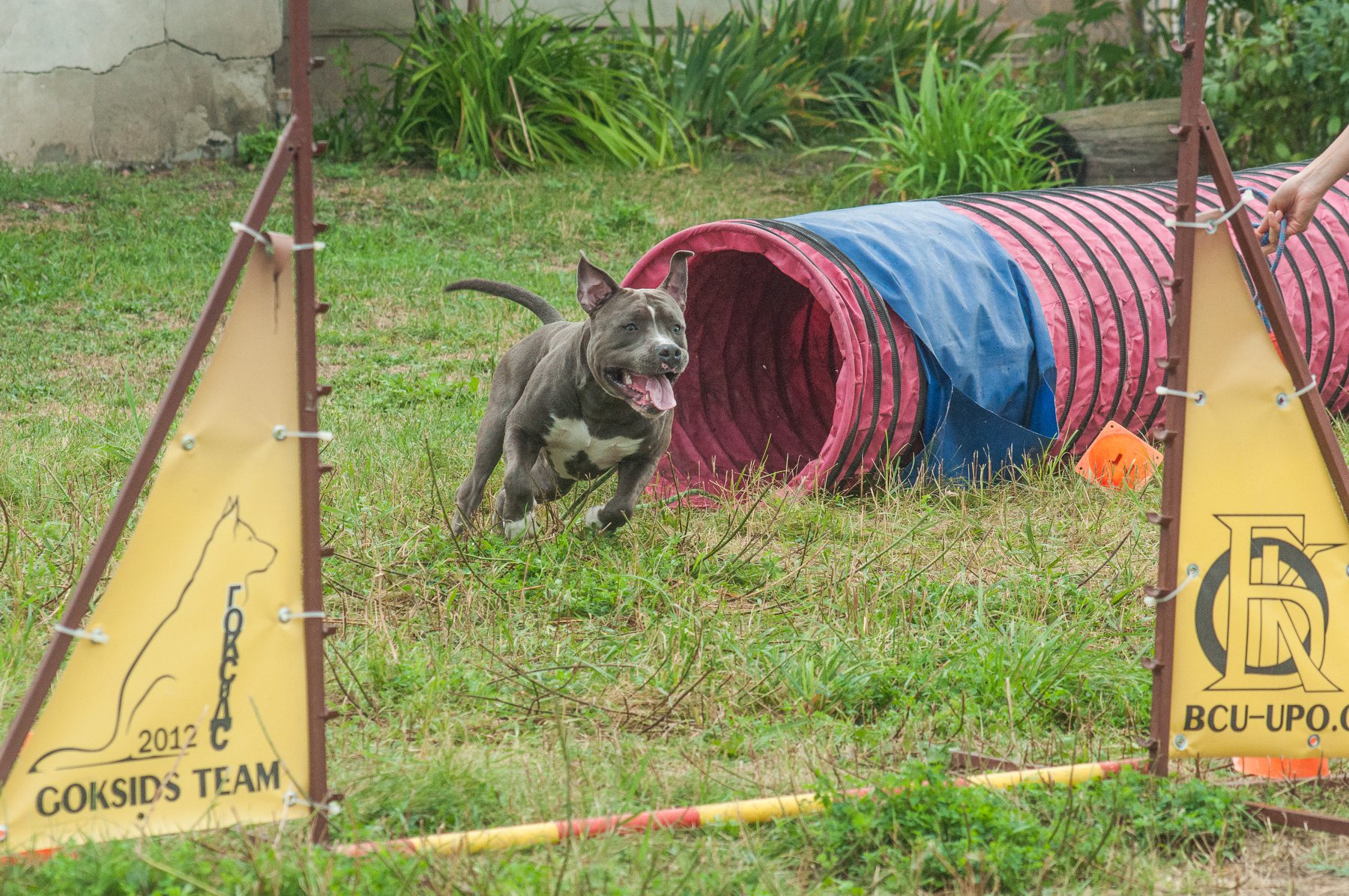 41061128 1844793135636230 8801502718200905728 o