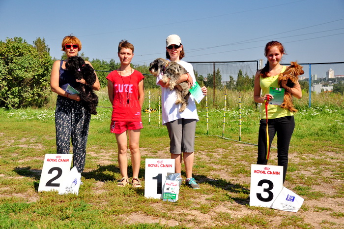 2016 08 21 11 33 00 2