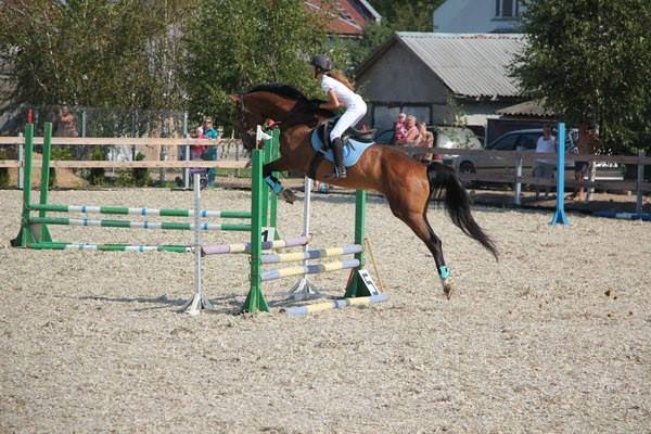 21558729 1493281354085508 1146247081388503378 n