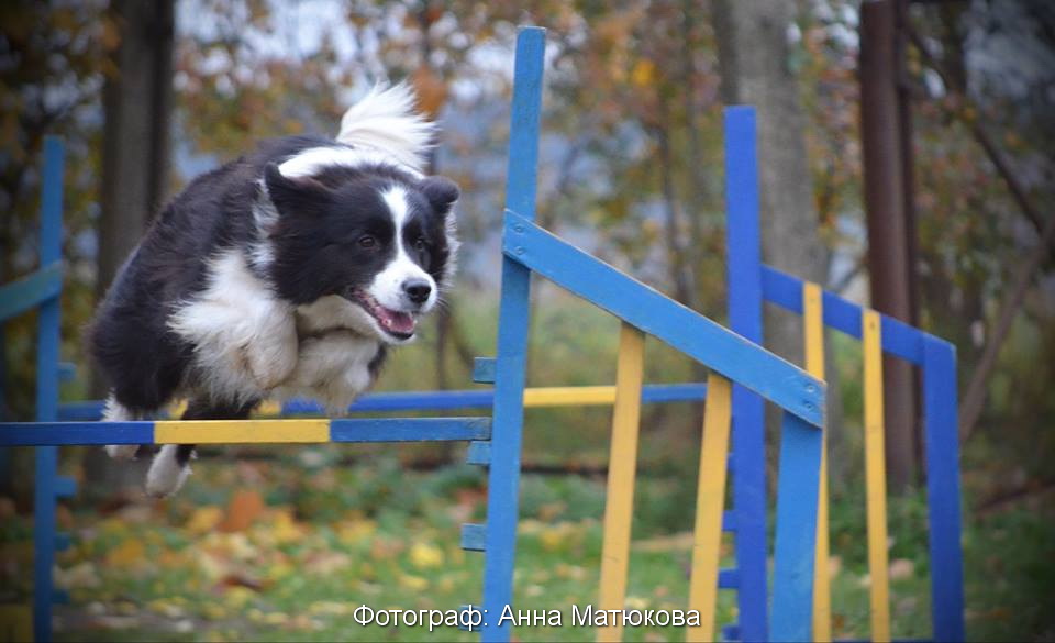 22780534 1484693621610158 6317083685155472510 n