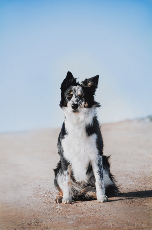 0 13c3da 329f3516 origйй