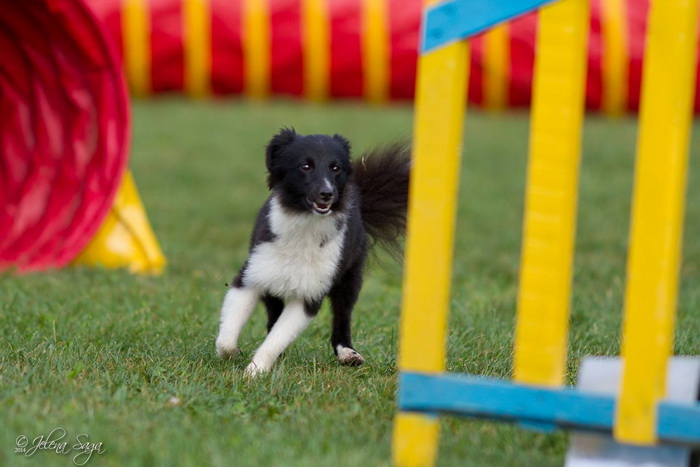 10504988 521506341314630 3562492475135297081 o