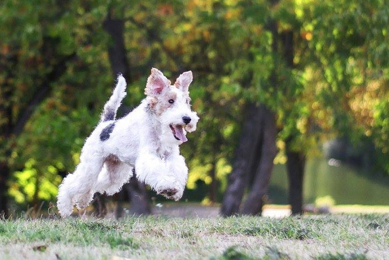 12022219 897705900320402 1194860194 o