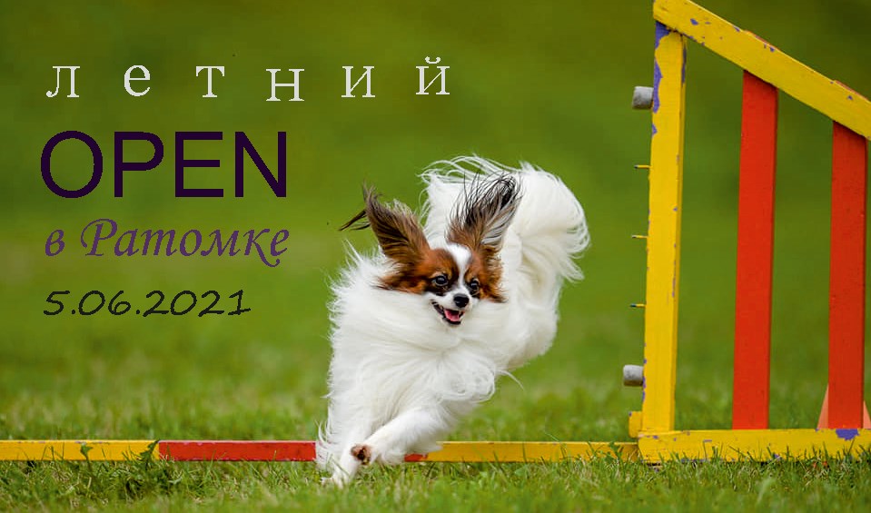 187794318 4058340367575451 3490491843704477956 n