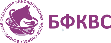 Лого для сайта