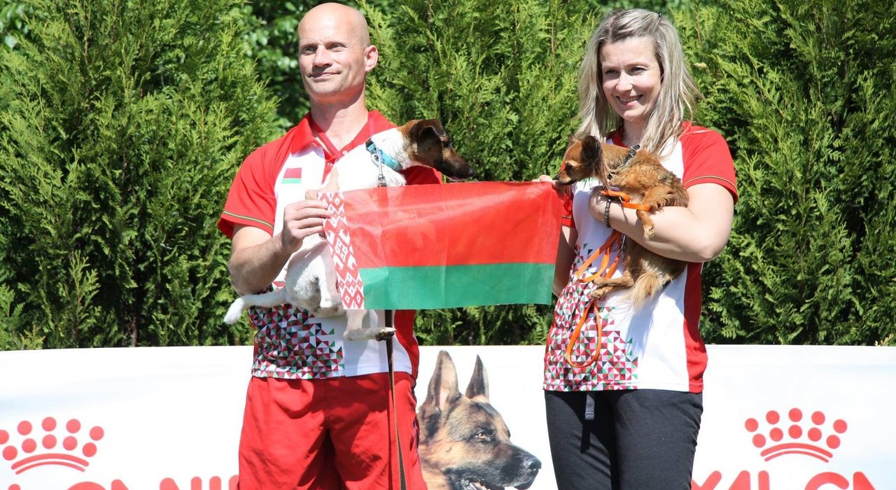 Соревнования